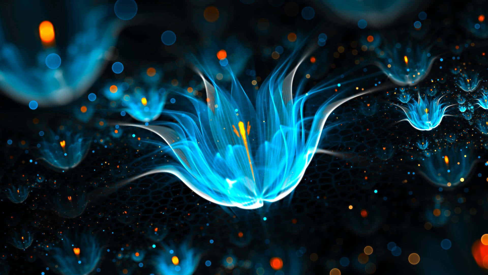 A Blue Flower With Glowing Lights In The Background Background