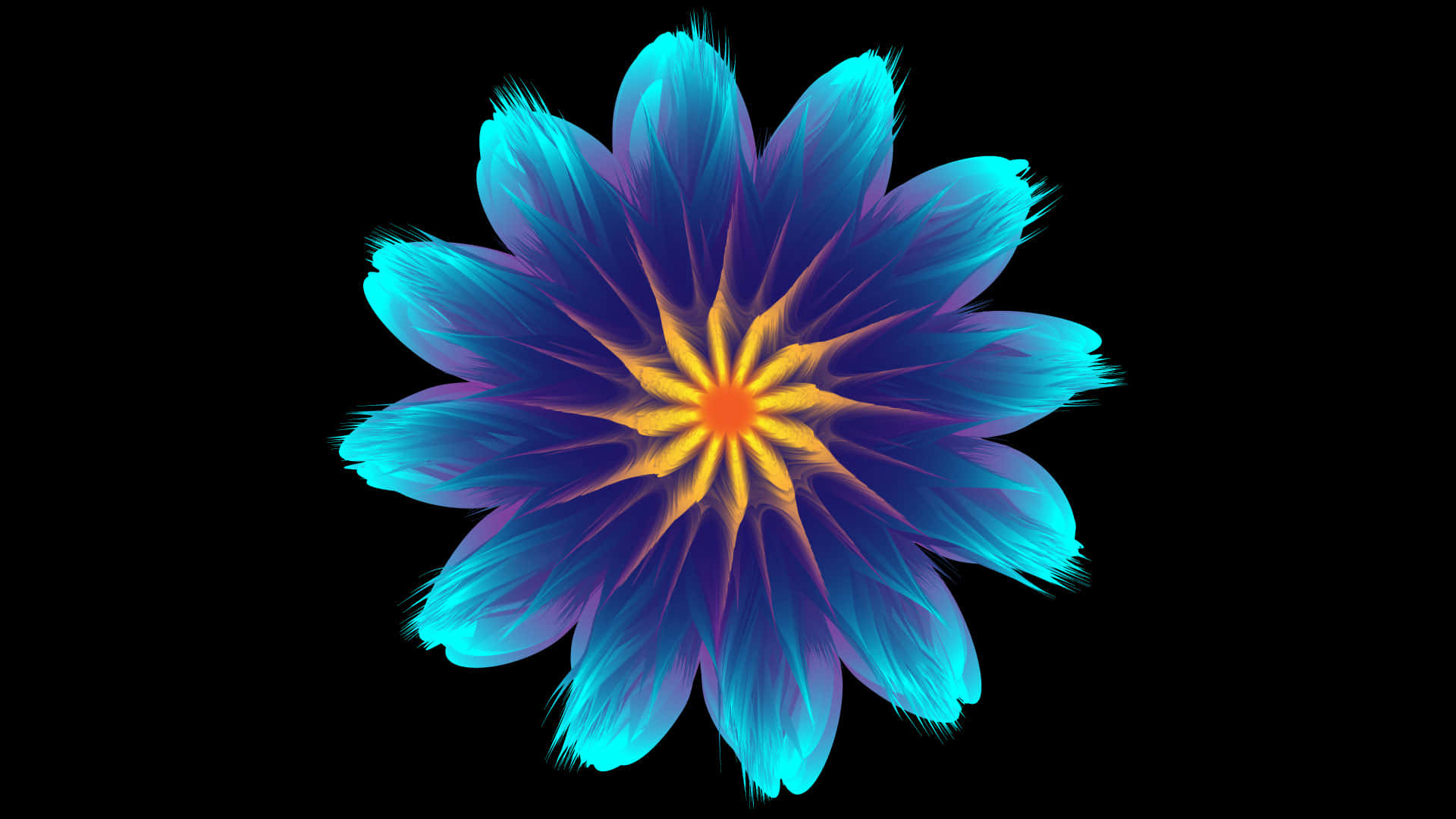 A Blue Flower With Yellow And Orange Petals Background