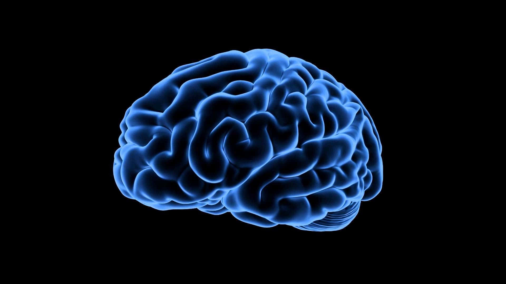 A Blue Human Brain On A Black Background Background