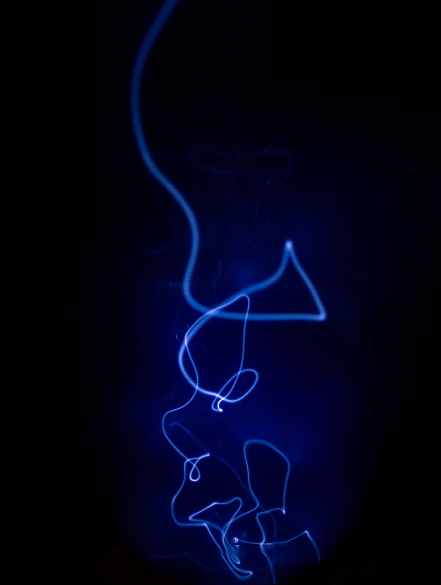 A Blue Light Painting Of A Dog