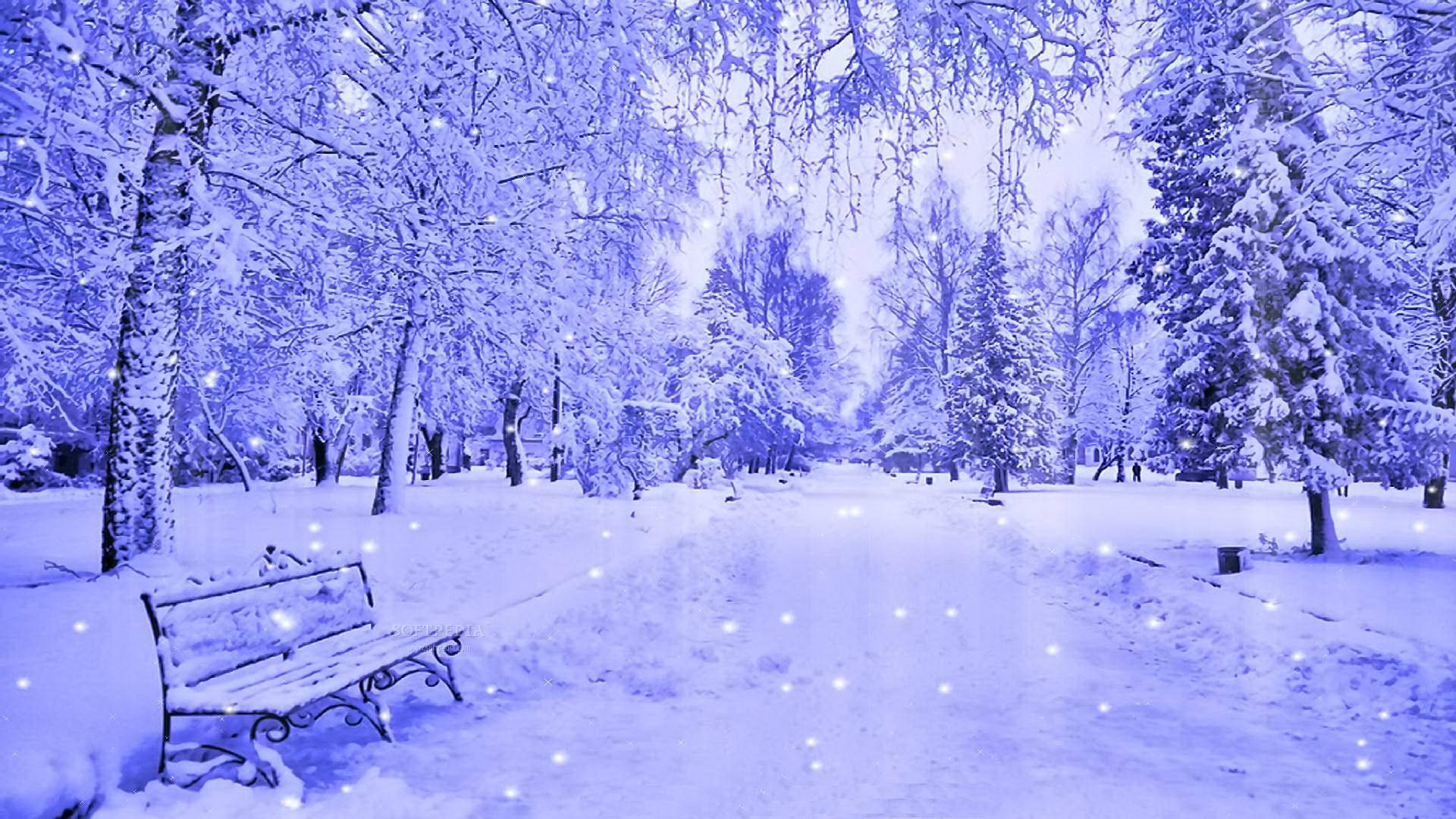 A Blue Snowy Park With A Bench And Trees Background
