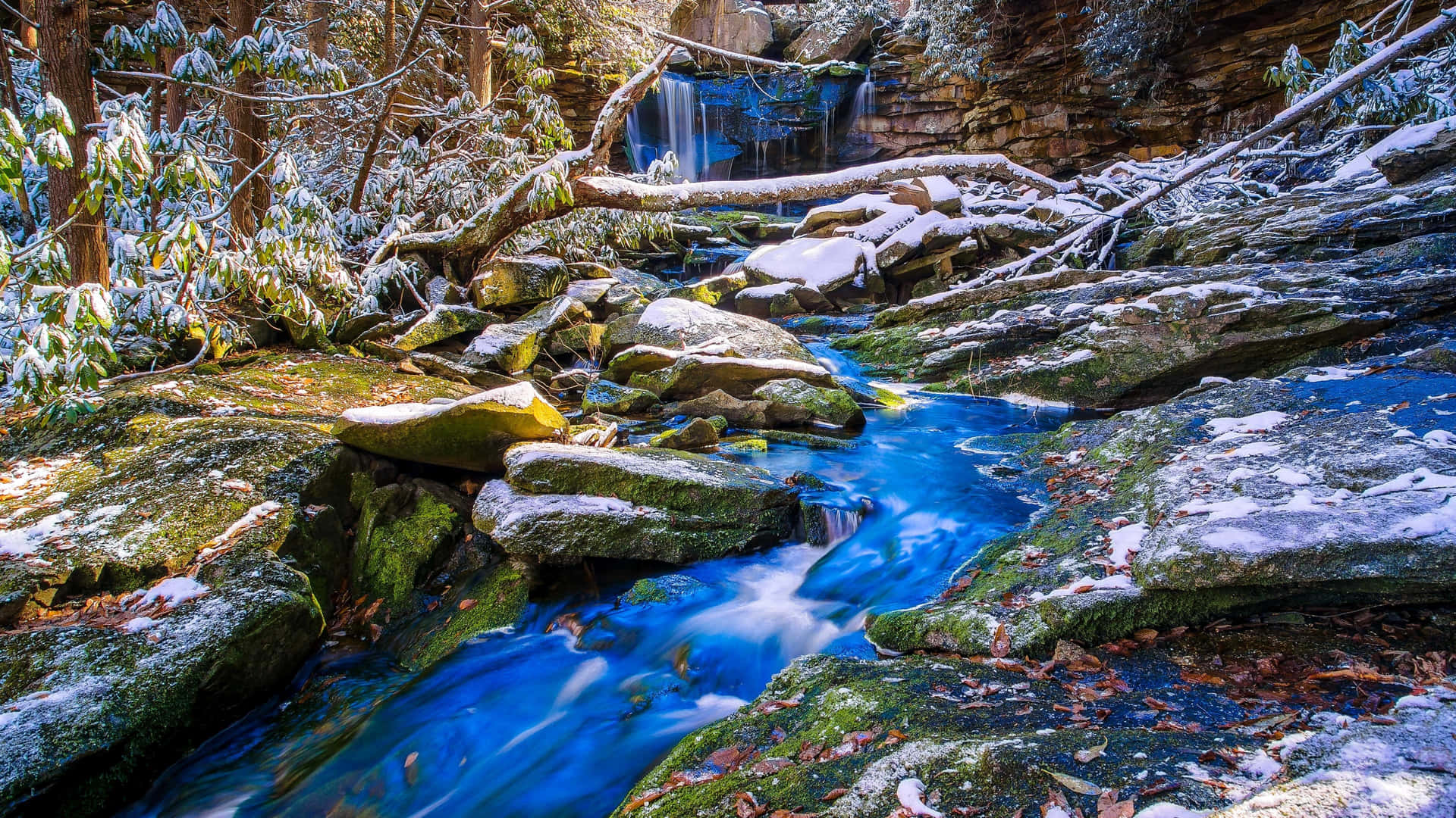 A Blue Stream In The Snowy Woods