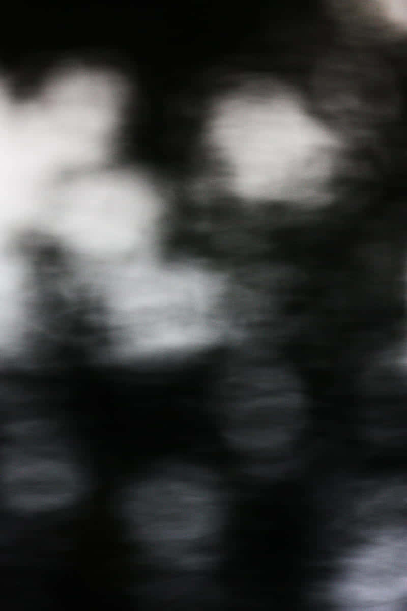 A Blurry Image Of A Tree Background