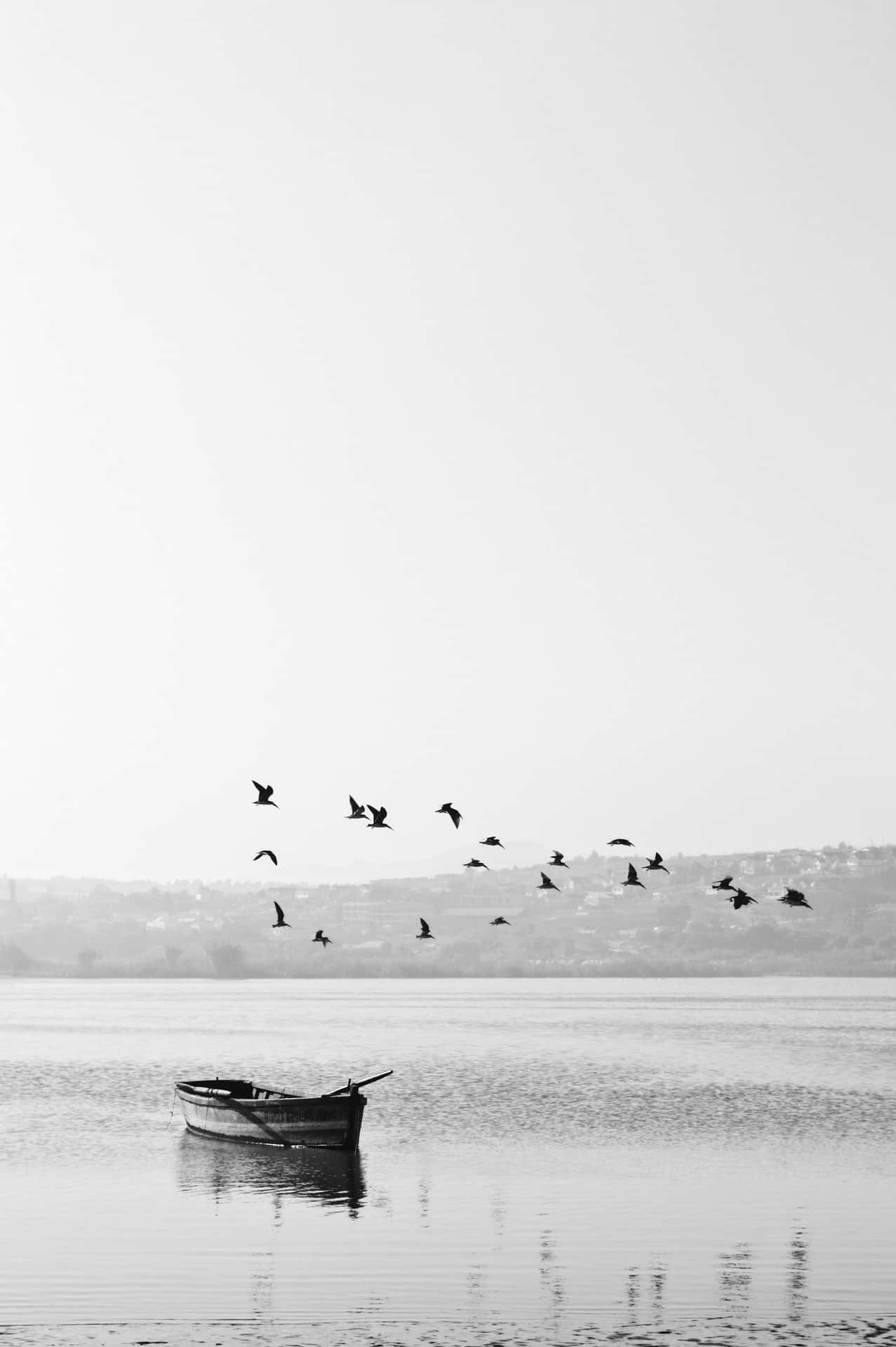 A Boat With Birds Flying Over It Background