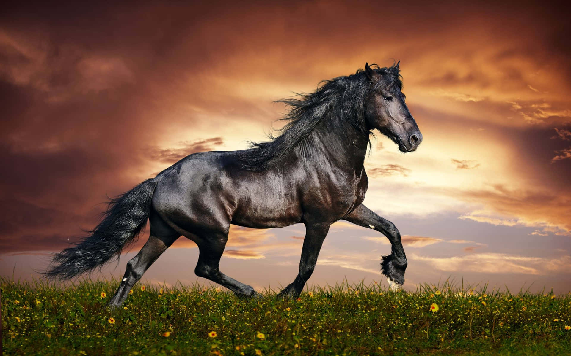 A Bold And Spirited Horse Standing Tall Surrounded By Beautiful Floral Scenery. Background