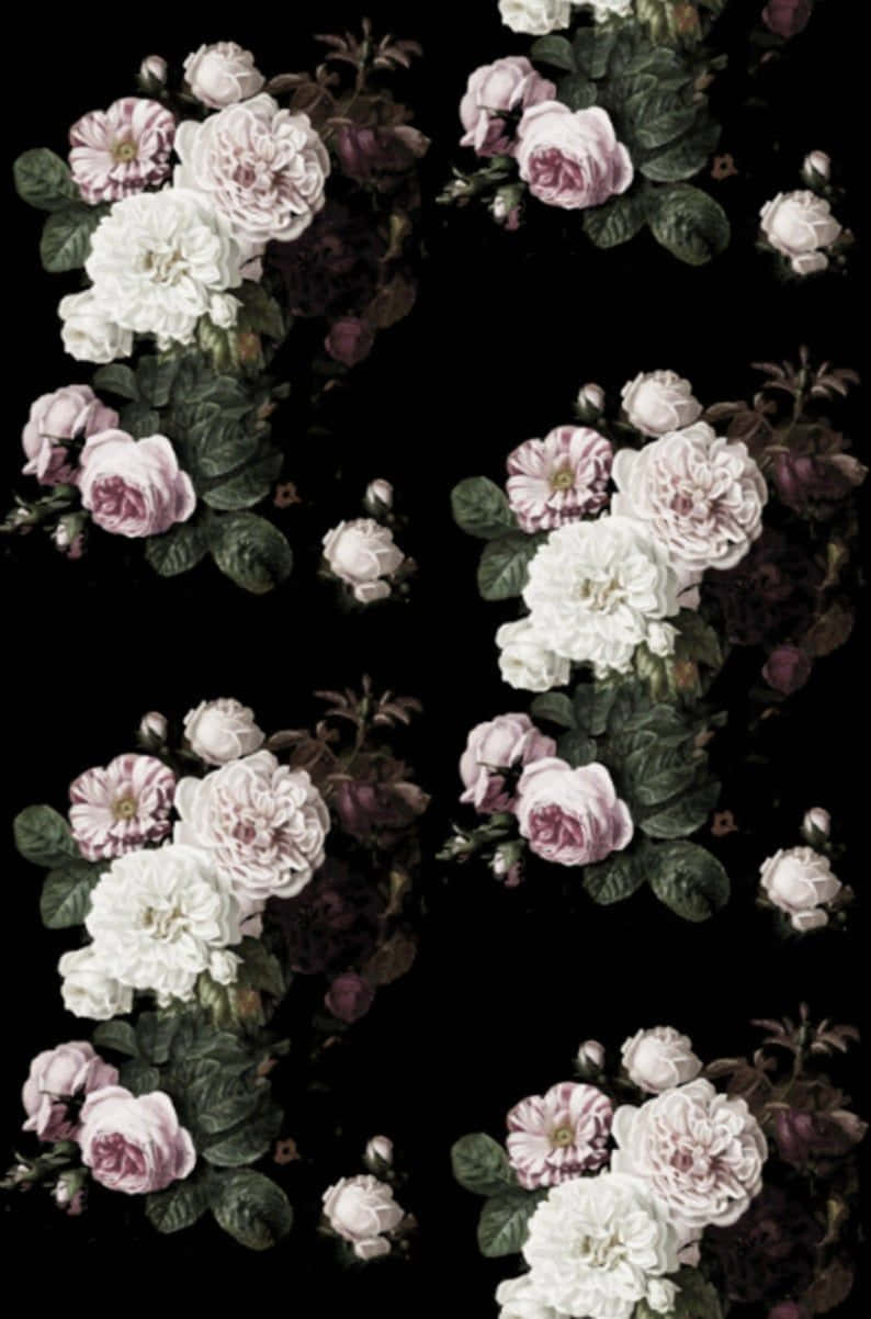 A Bold And Vibrant Pattern Of Black And Pink Florals Background