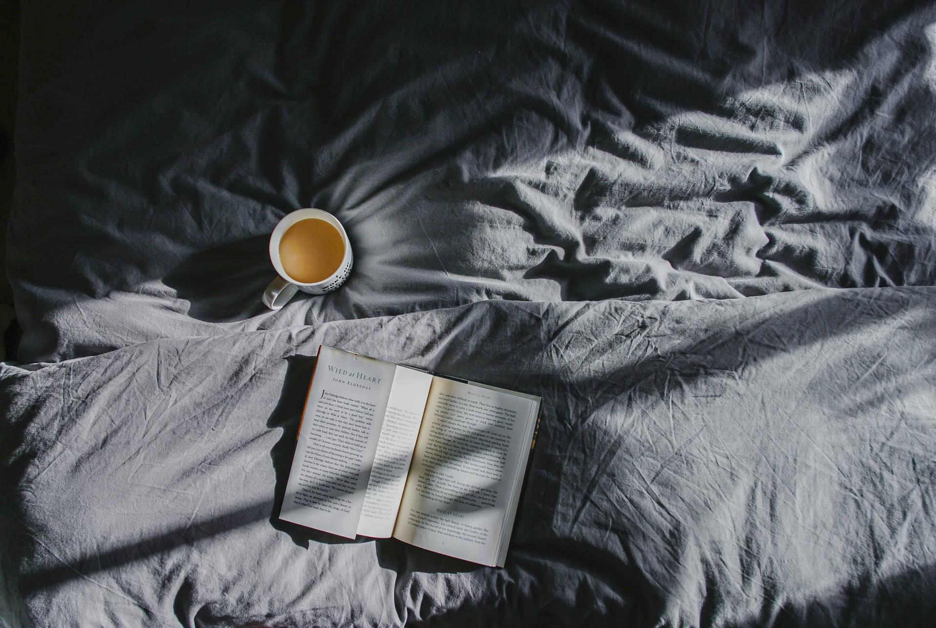 A Book Lover's Companion: Enjoying A Good Read In Bed Background