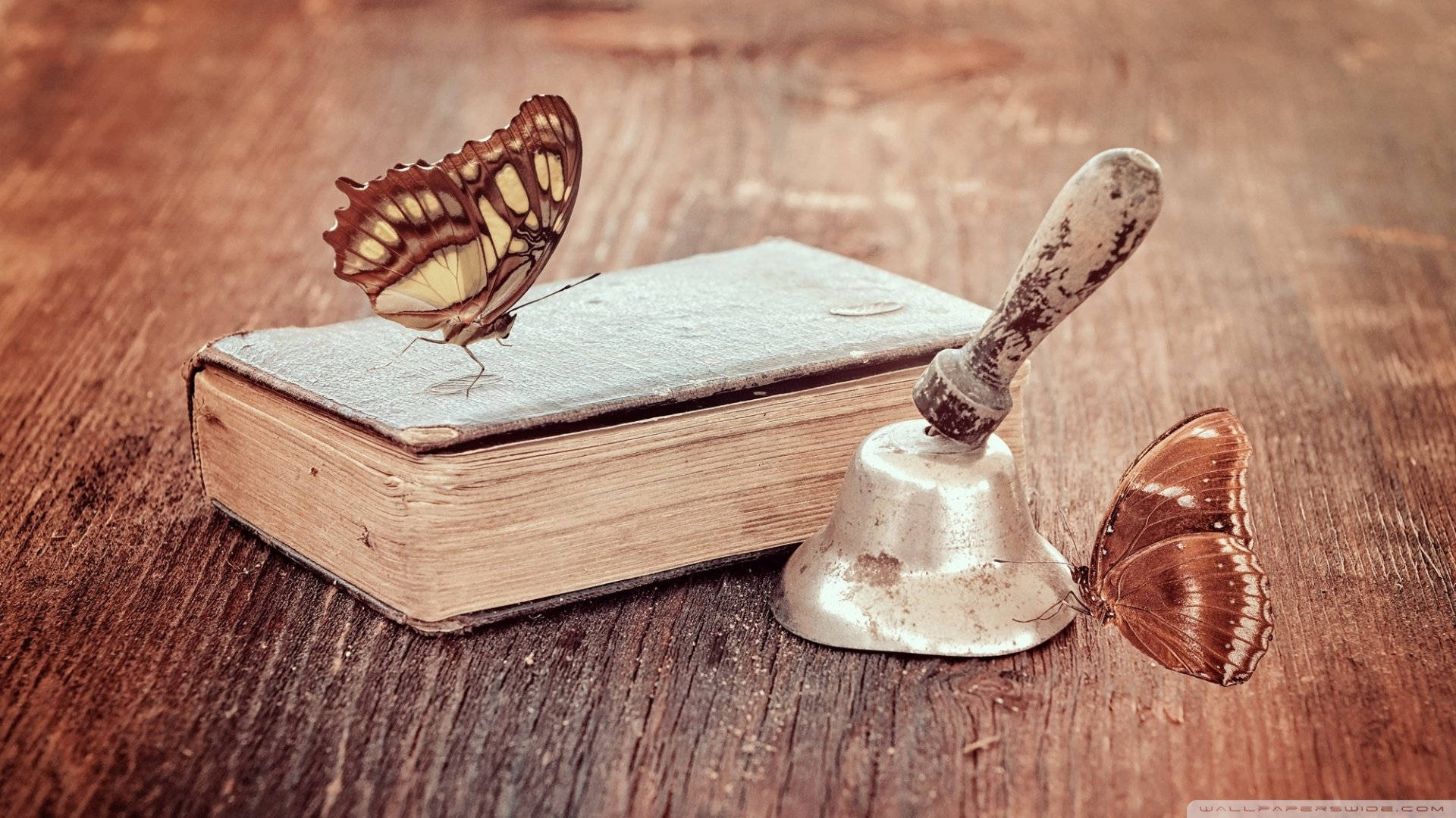 A Book With Butterflies On It And A Bell Background