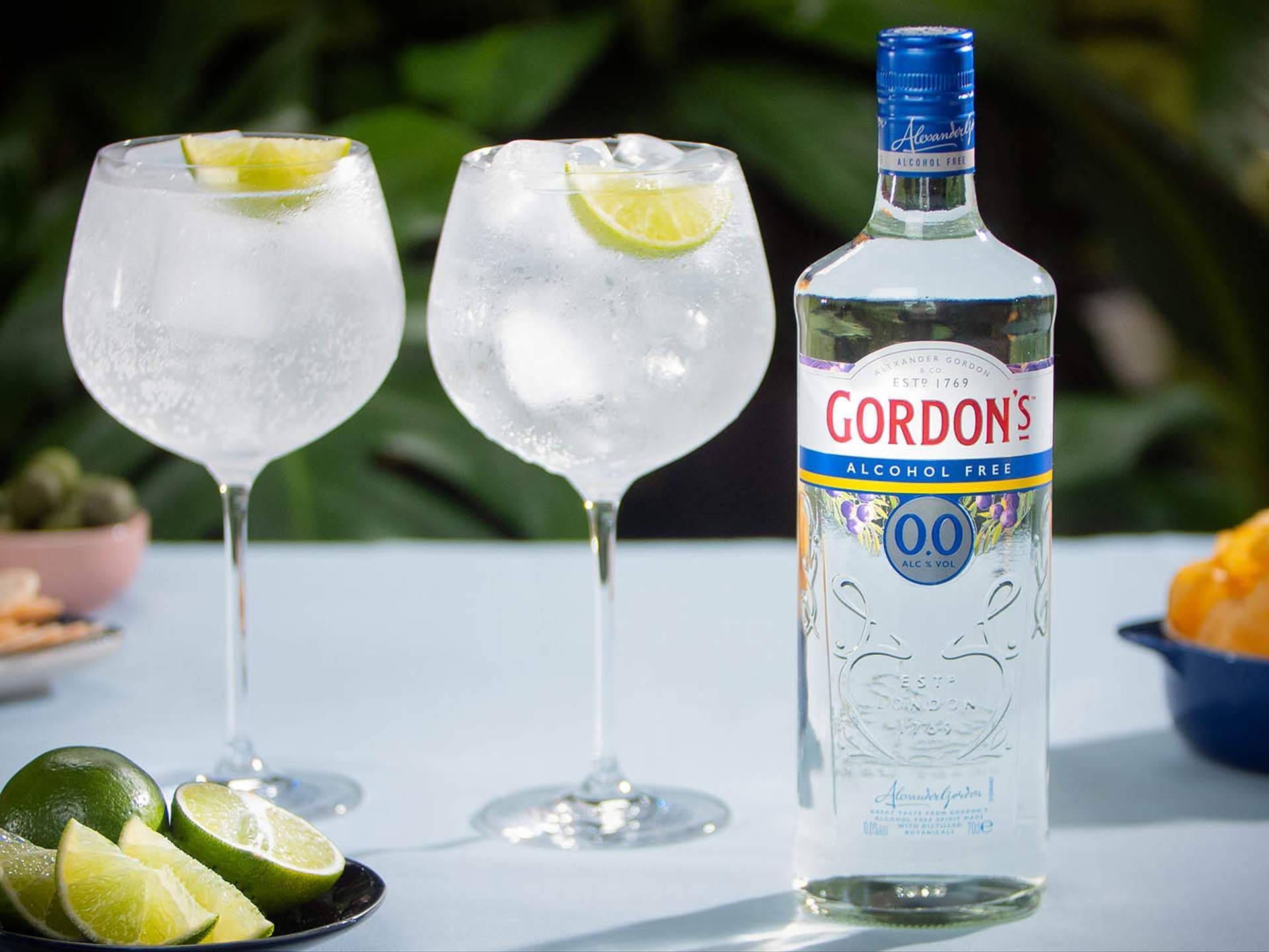 A Bottle Of Gordon's Alcohol-free Gin