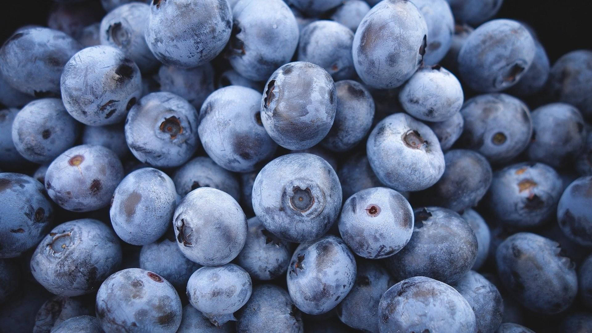 A Bountiful Harvest Of Freshly Picked Blueberries Background