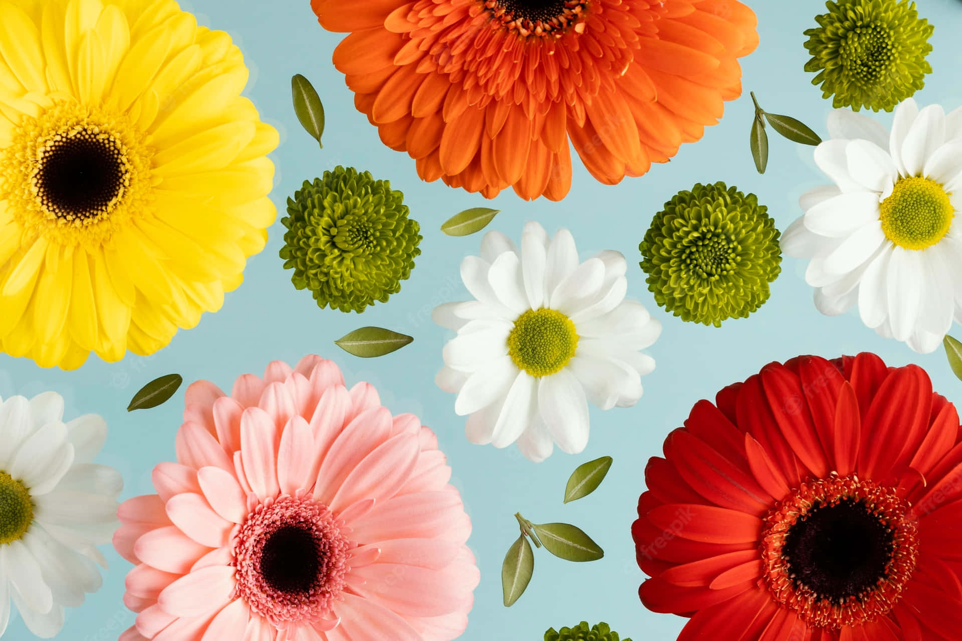 A Bouquet Of Delightful Colorful Daisies Background