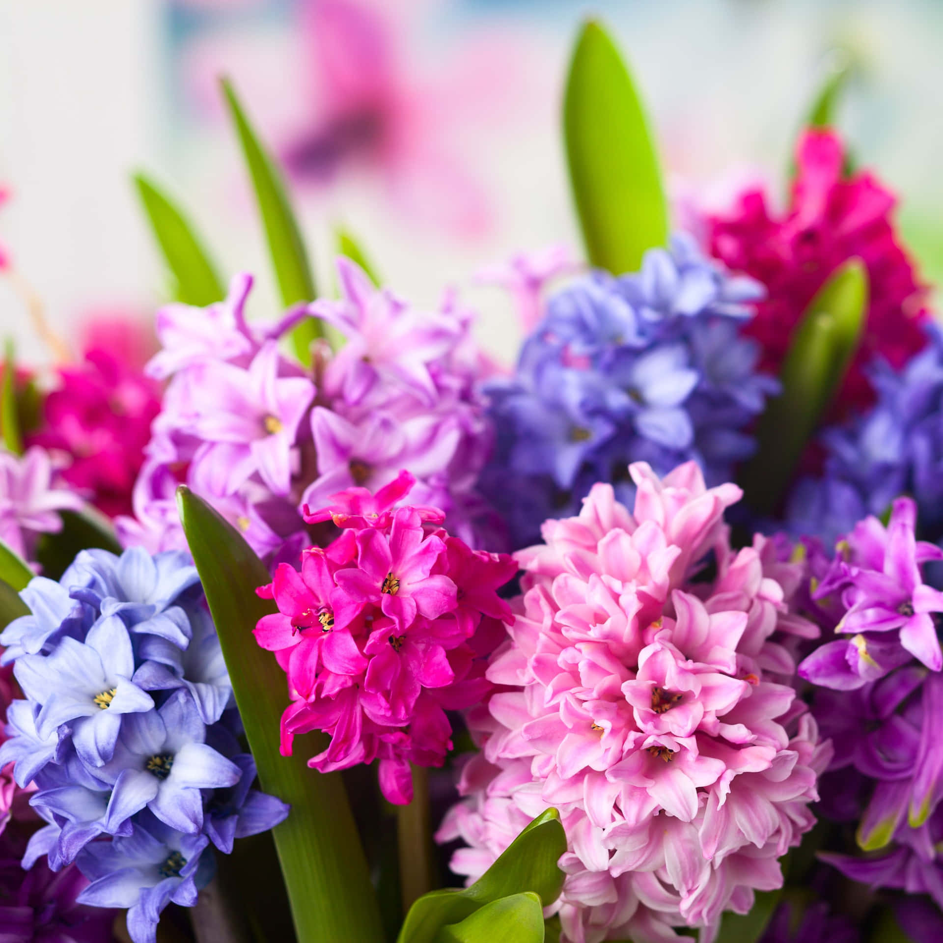 A Bouquet Of Flowers In A Vase Background