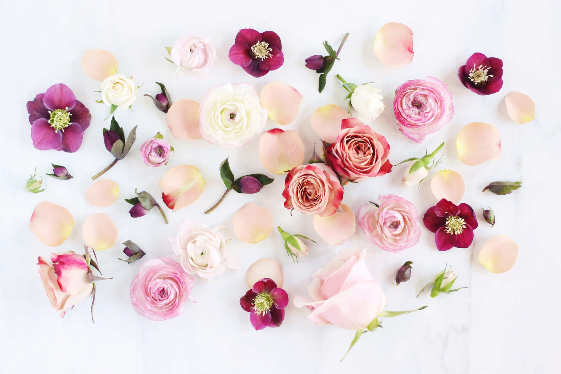 A Bouquet Of Pink And White Flowers On A White Background Background