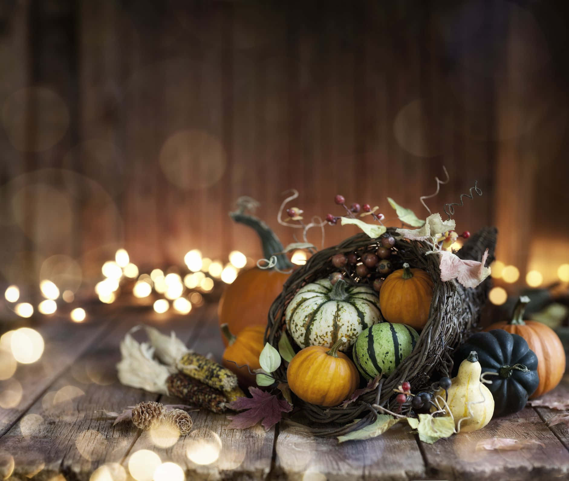 A Bouquet Of Pumpkin For Fall Thanksgiving Background