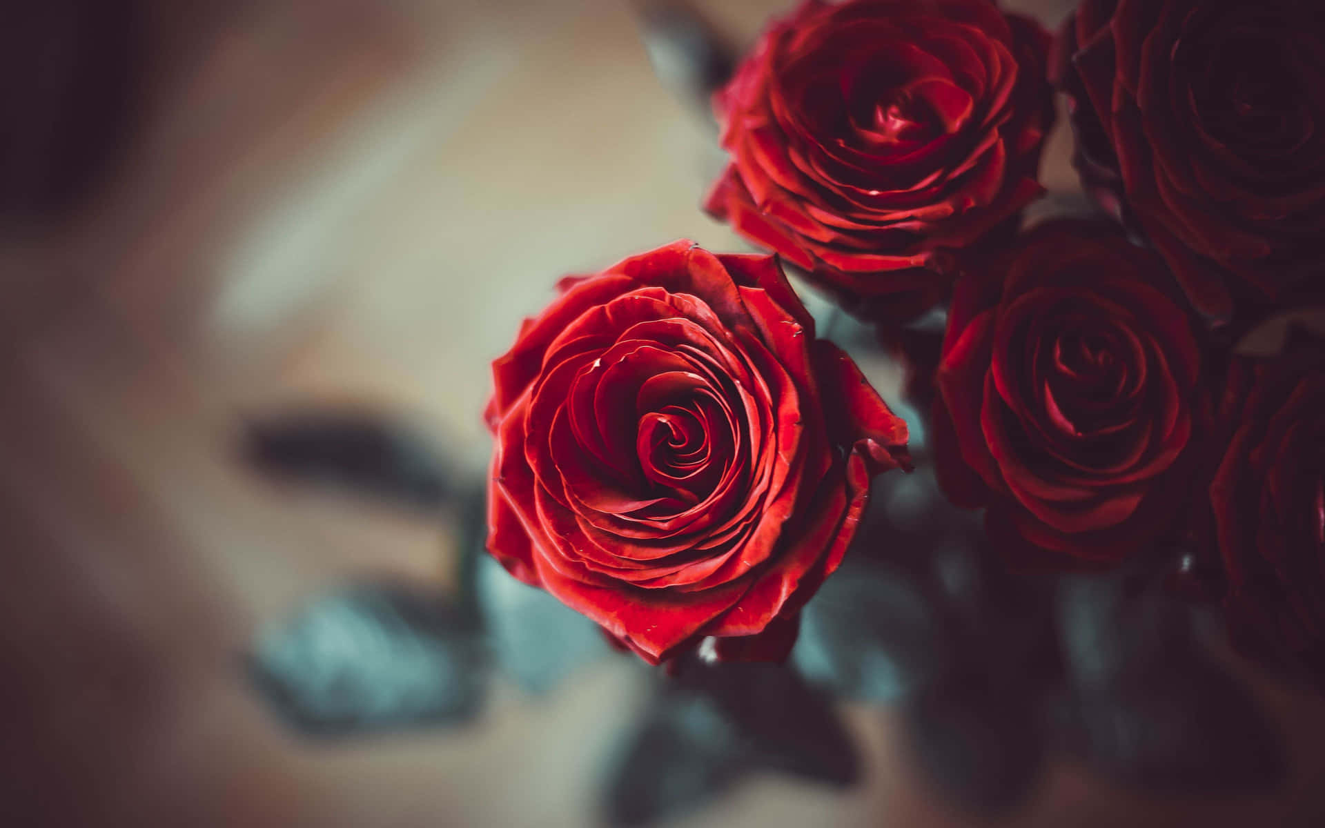 A Bouquet Of Red Roses For Valentine's Day Background
