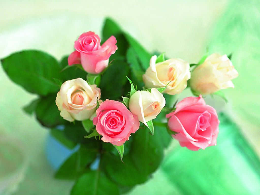A Bouquet Of Red Roses Set Against A Bright Blue Sky Background
