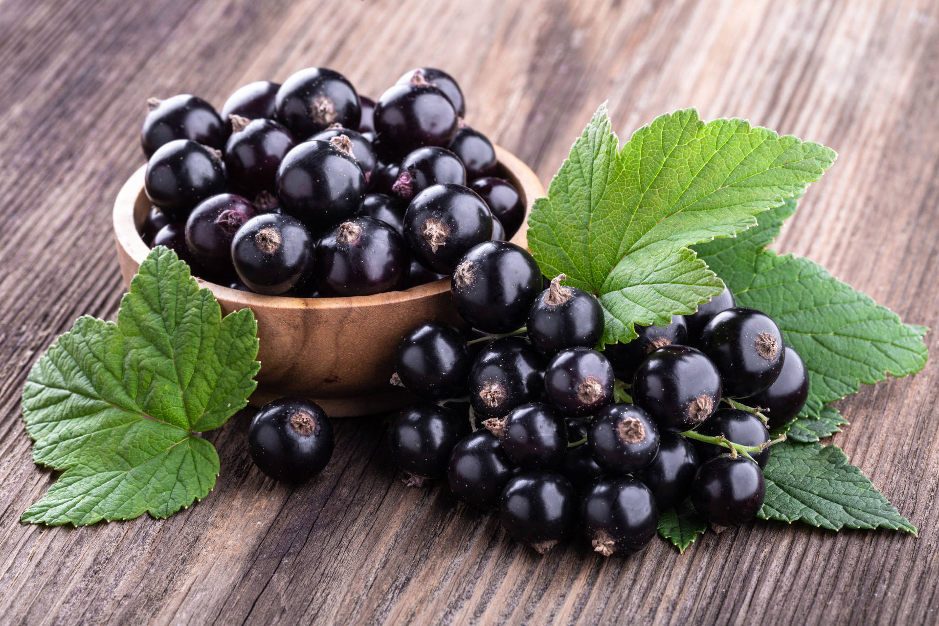 A Bowl Of Blackcurrant Background