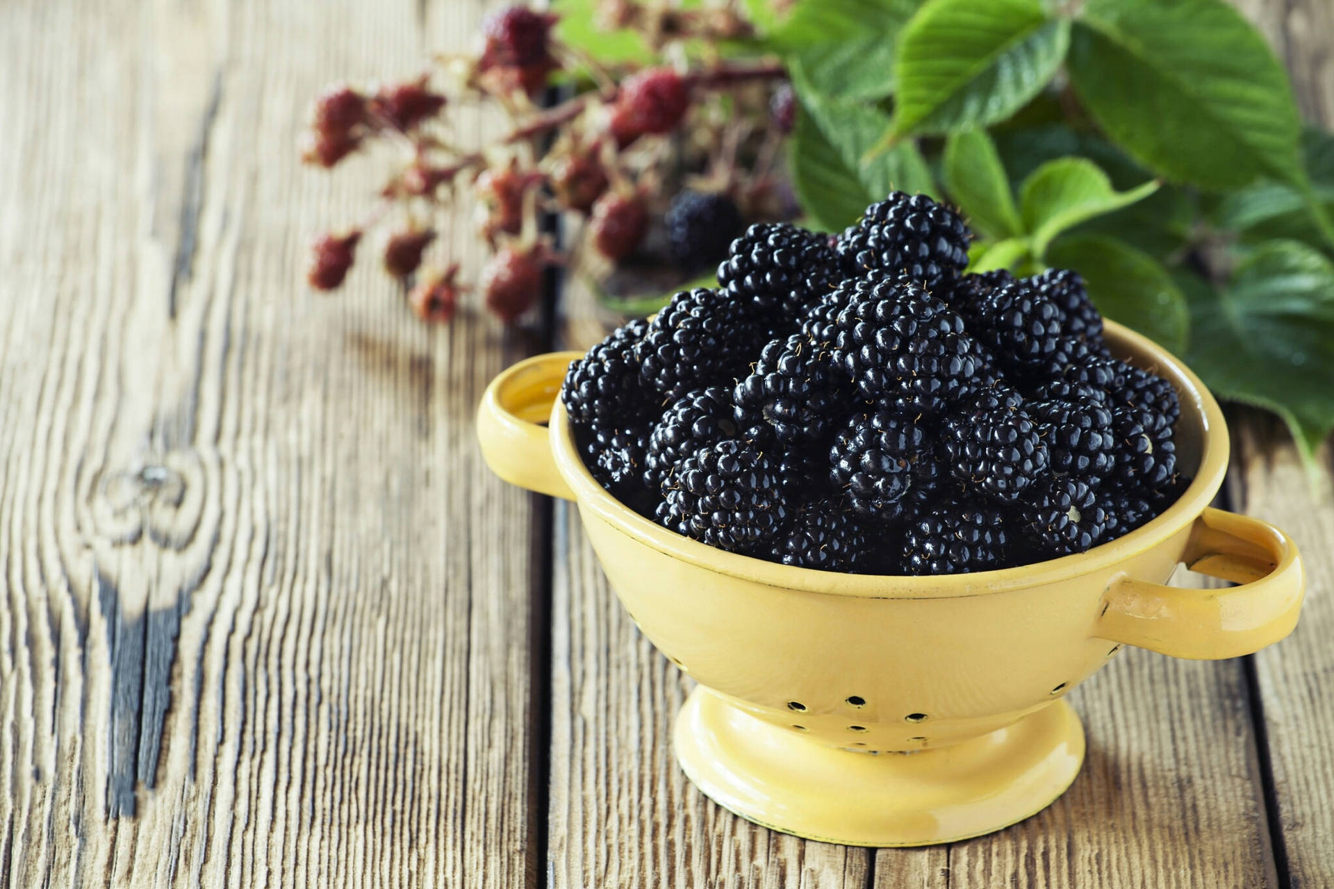 A Bowl Of Boysenberry Background