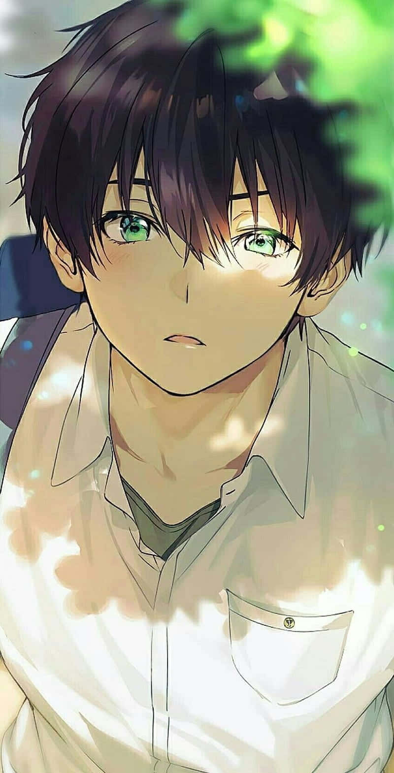 A Boy With Green Eyes Is Sitting In The Grass Background
