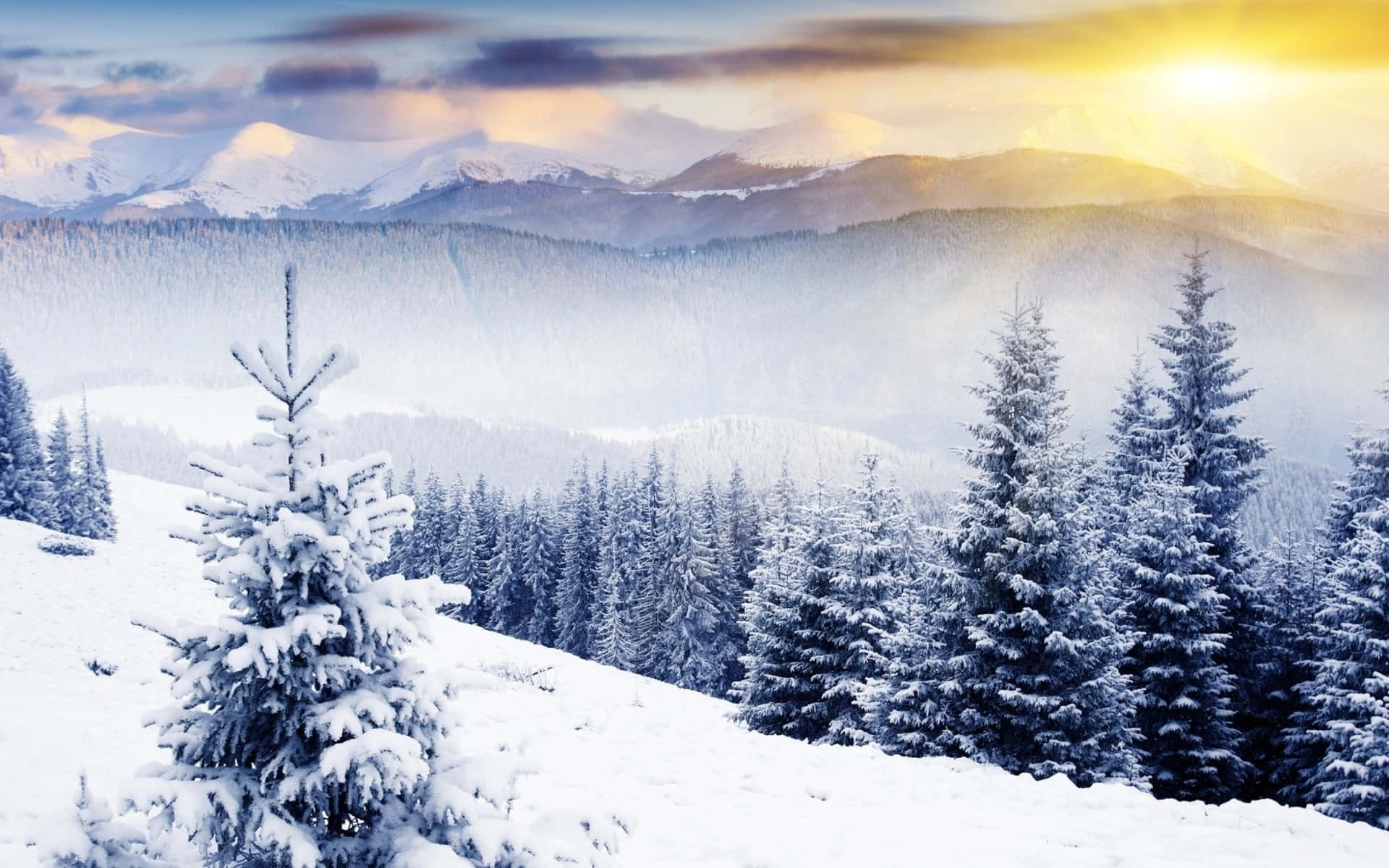 A Breath-taking View Of A Snow-capped Landscape Background