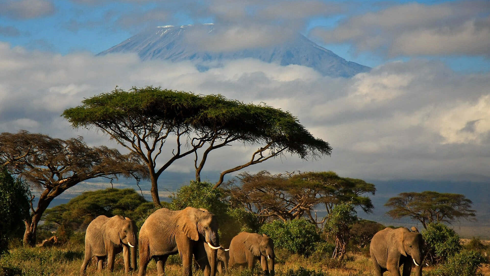 A Breathtaking View Of Africa, Looking Out Over Its Unique Landscape Of Mountains And Desert Background