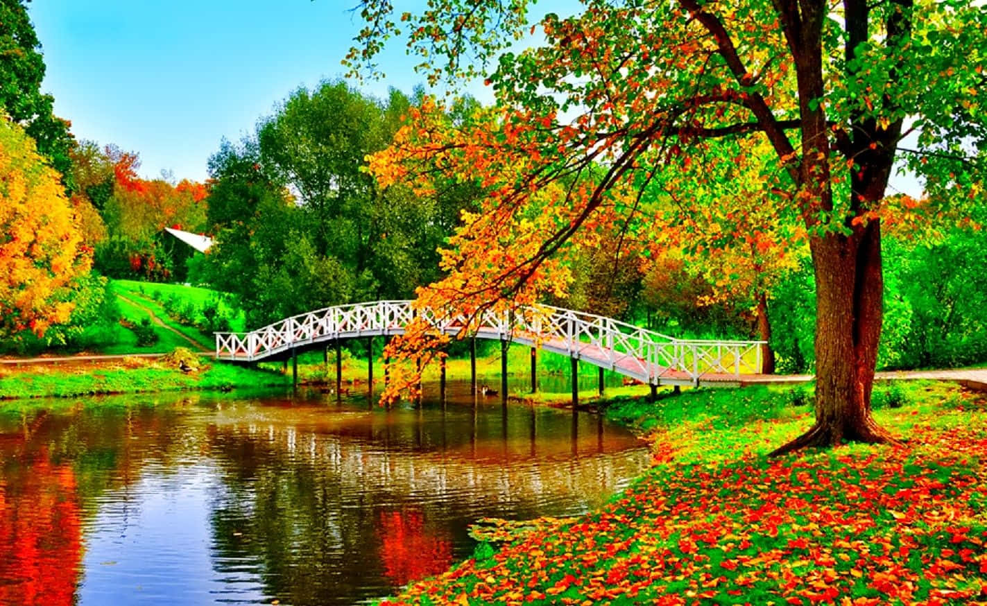 A Bridge Over A Pond With Colorful Leaves