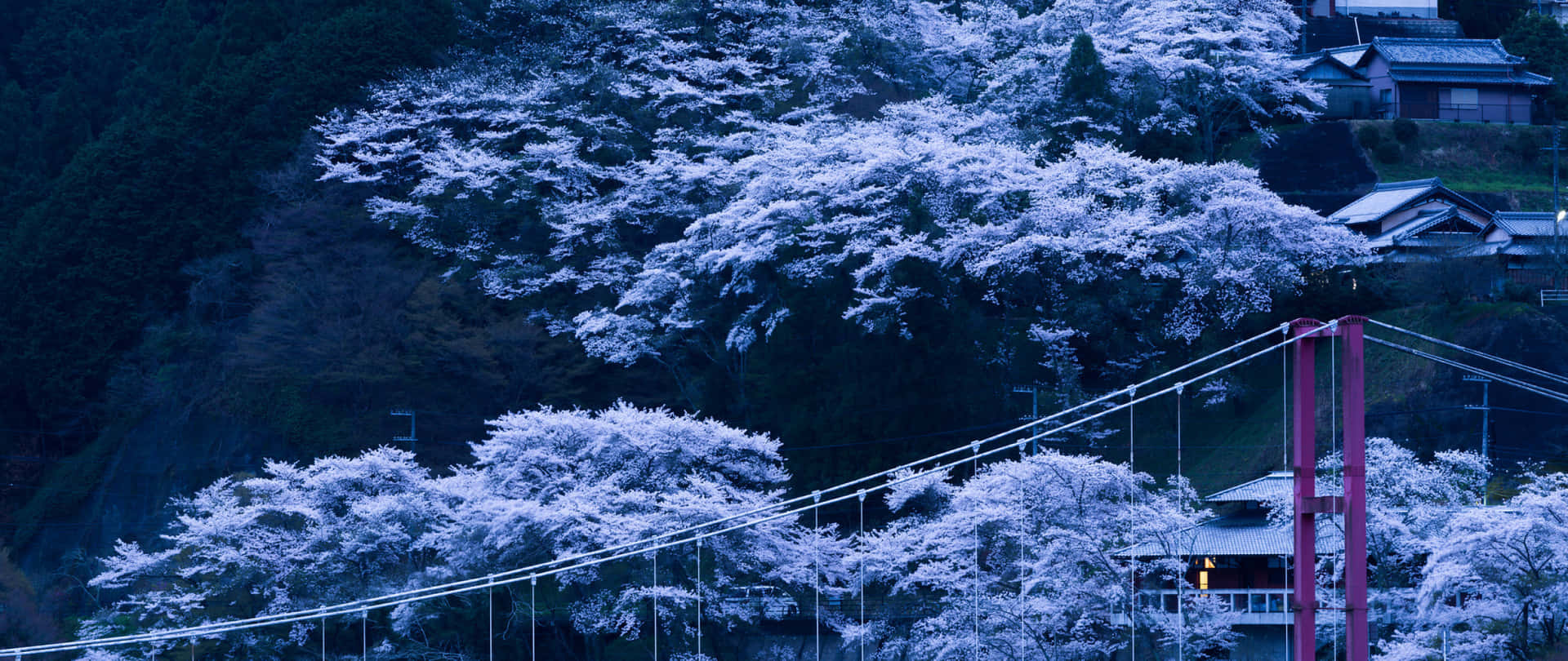 A Bridge With A Bridge In The Background