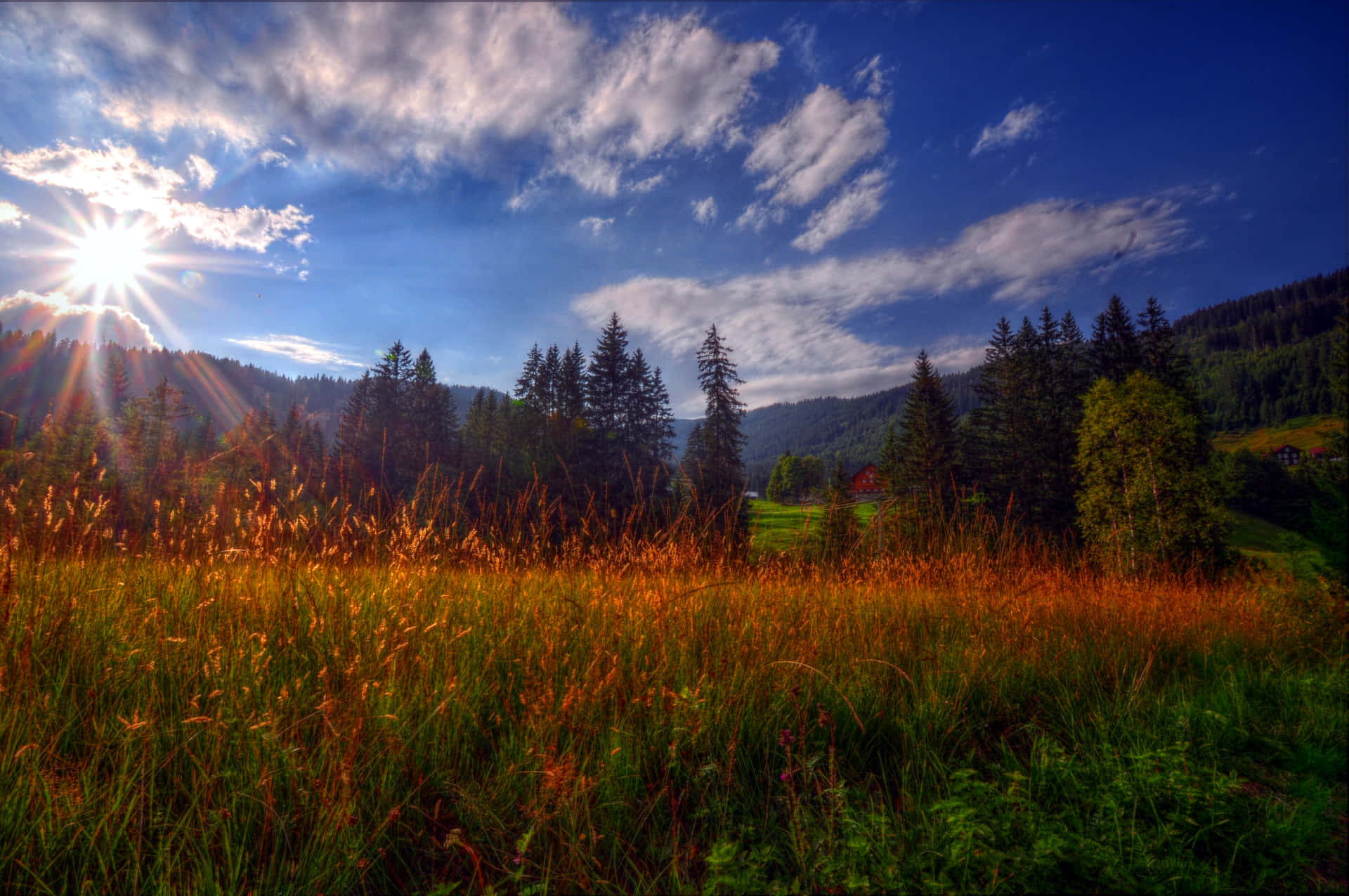 A Bright And Beautiful Sunshine Day Background