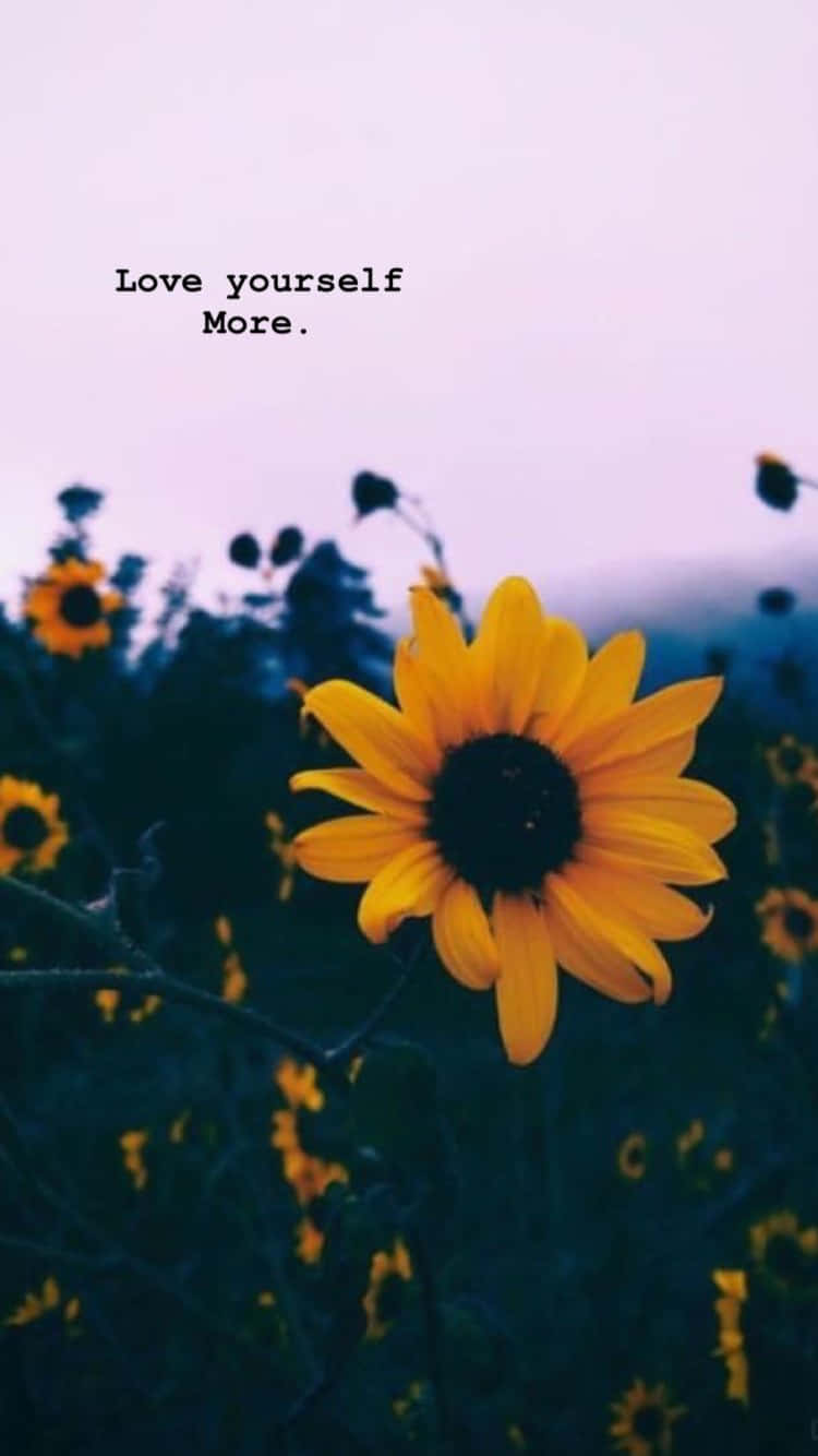 A Bright And Cheerful Sunflower Stands Tall Against A Cloudless Sky. Background