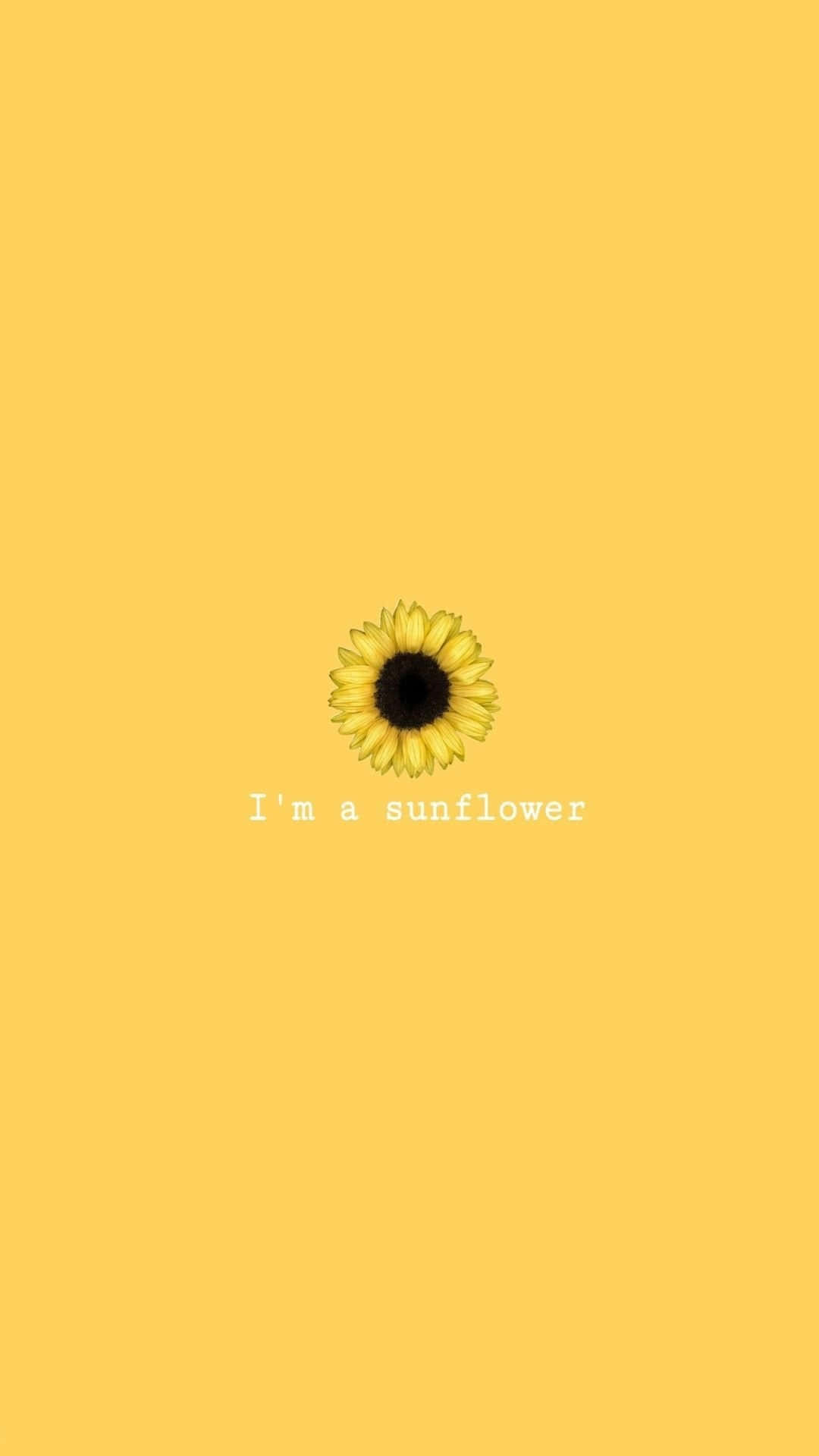 A Bright And Cheerful Sunflower Background