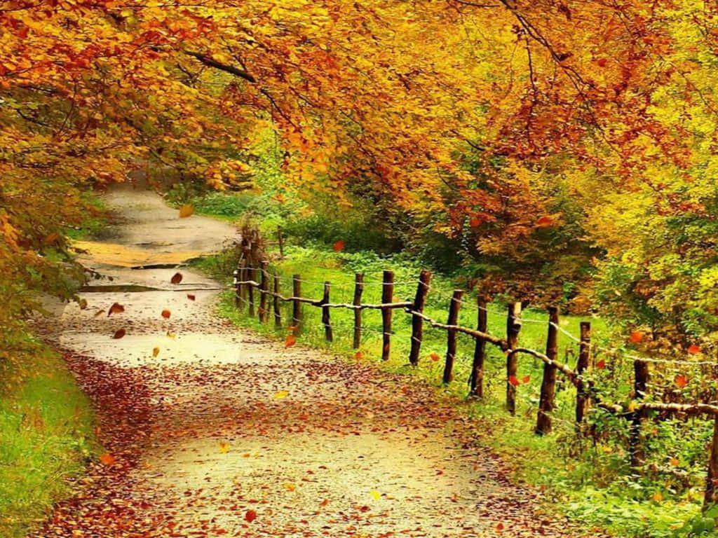 A Bright And Colorful Autumn Day. Background