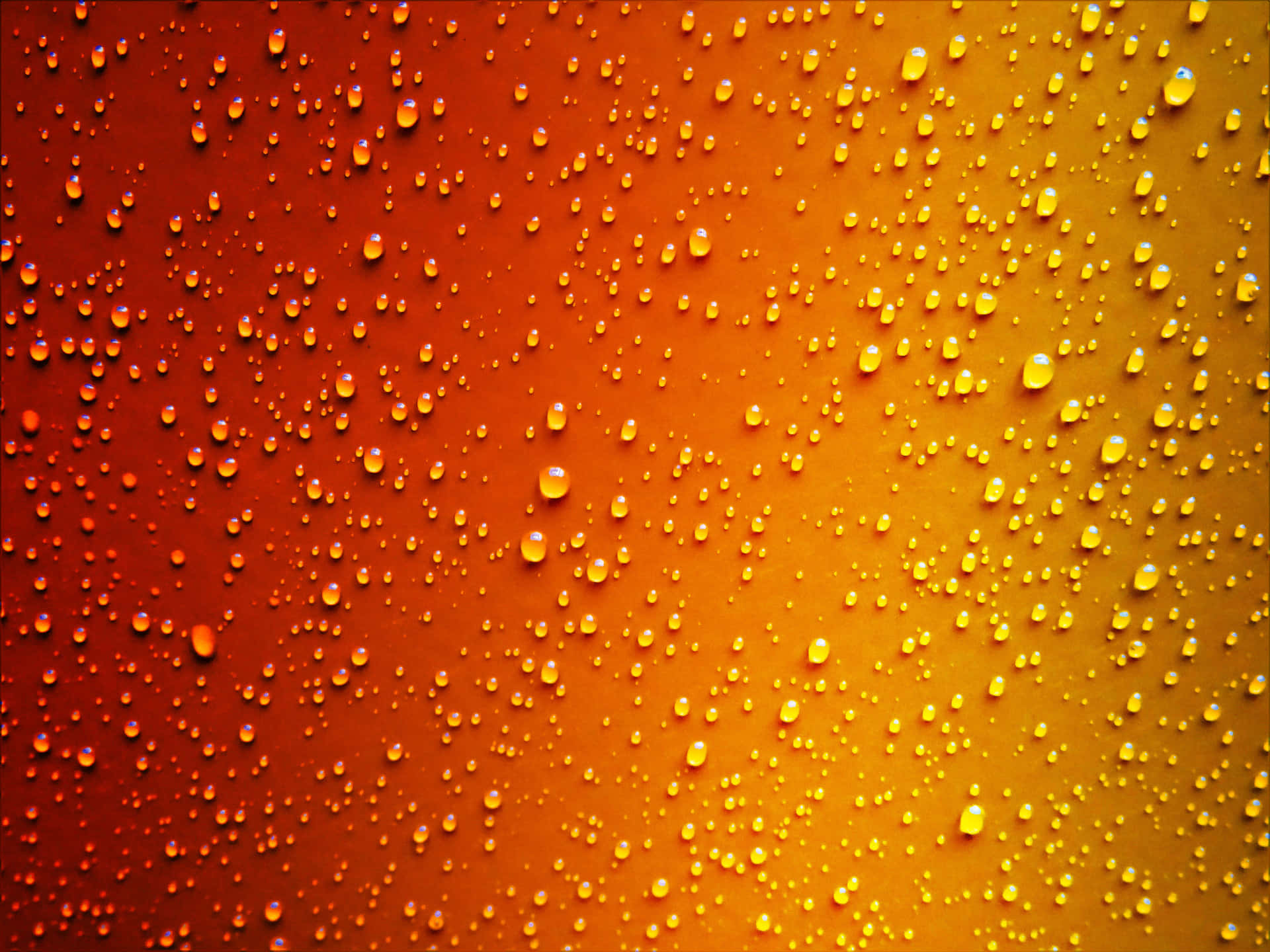 A Bright And Colorful Display Of Red And Orange Background