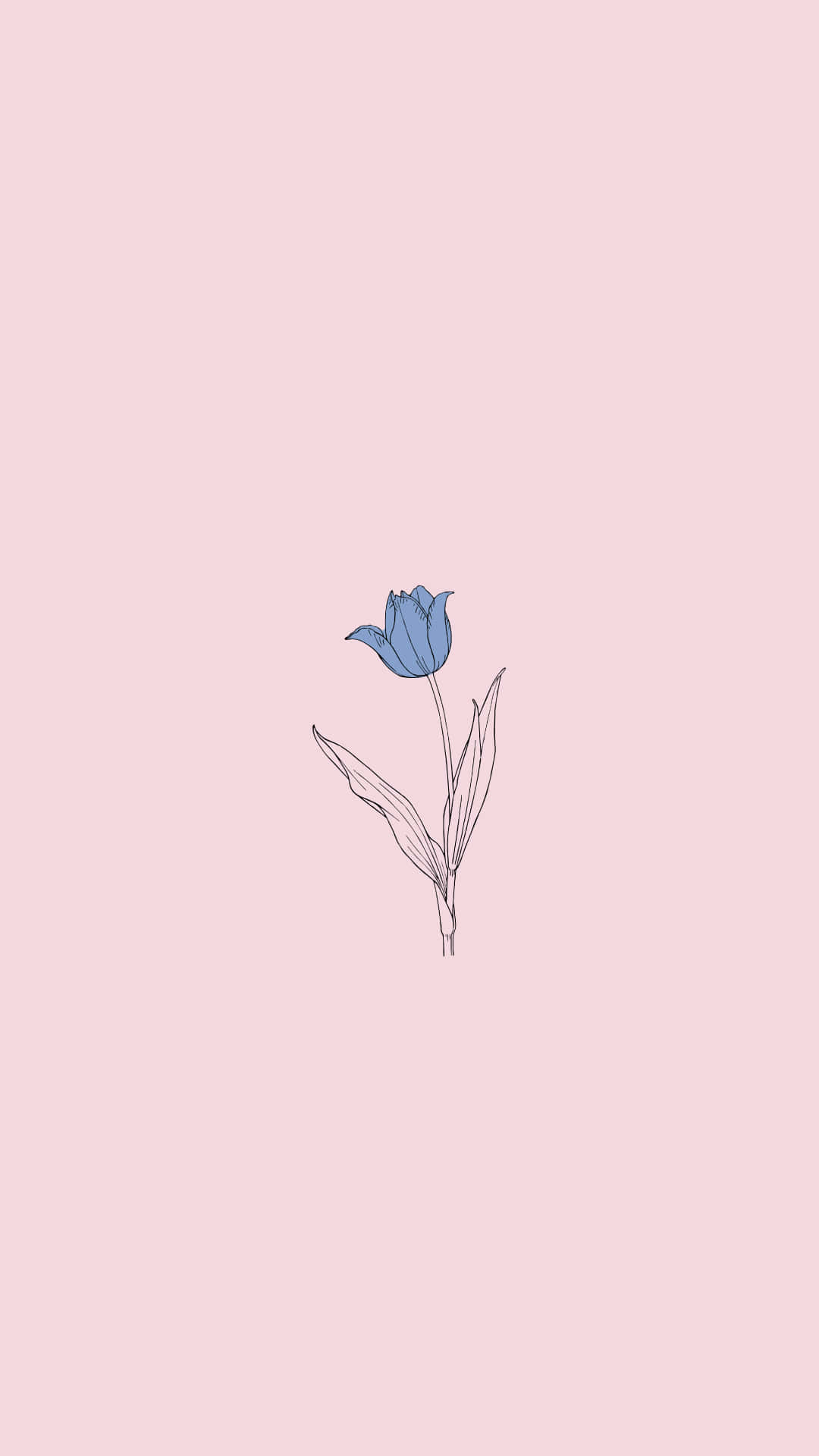 A Bright And Colorful Minimalist Drawing Background