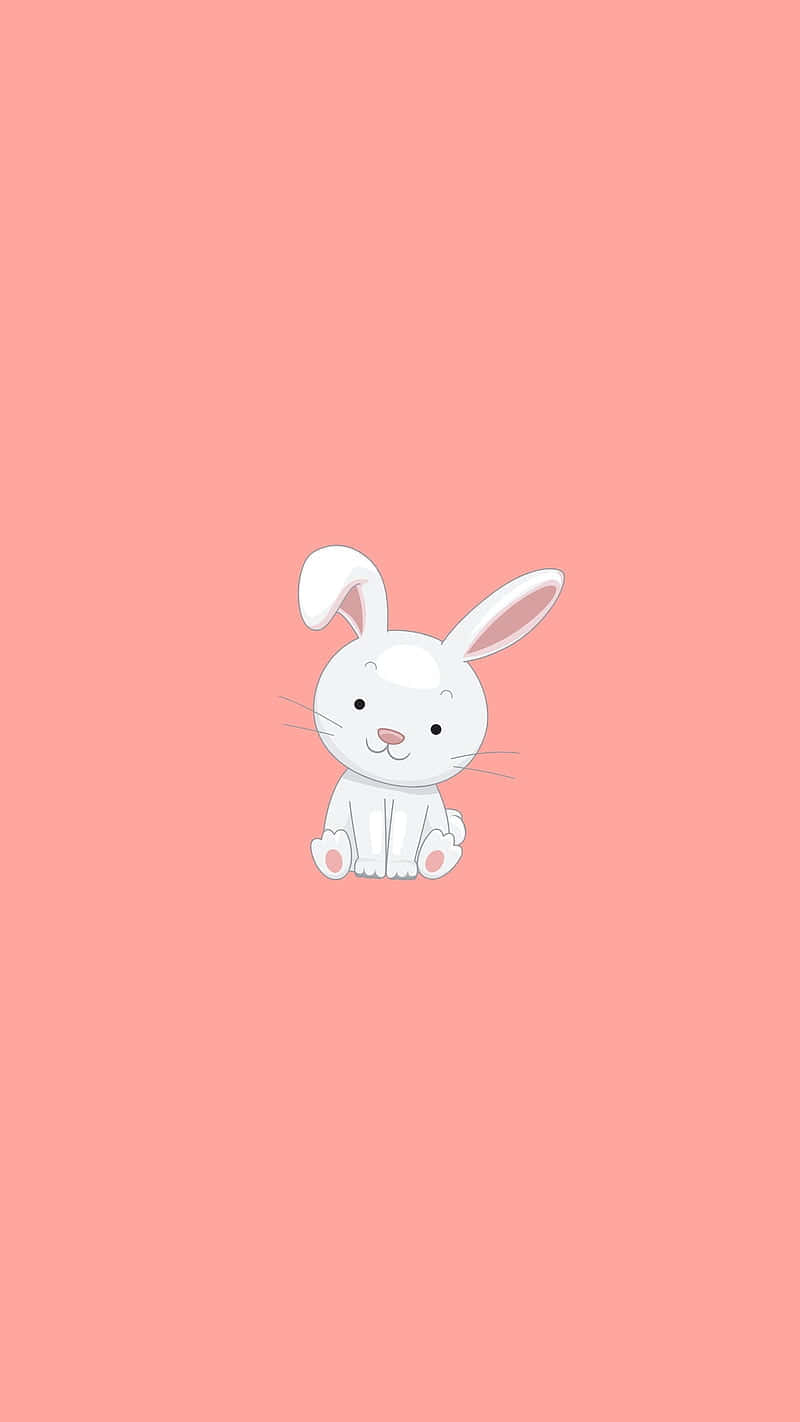 A Bright And Happy Bunny Adorns This Stunning Iphone Background