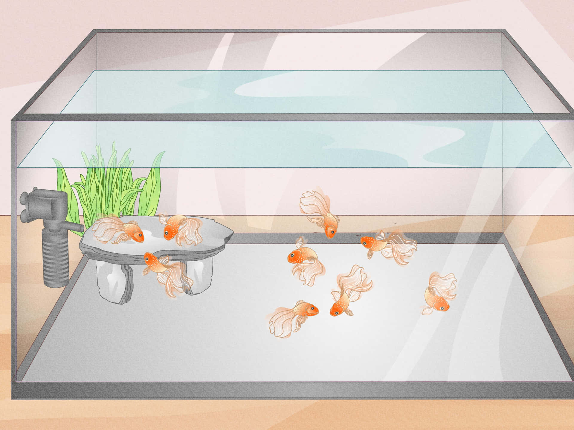 A Bright And Vibrant Aquarium Fish Tank Background