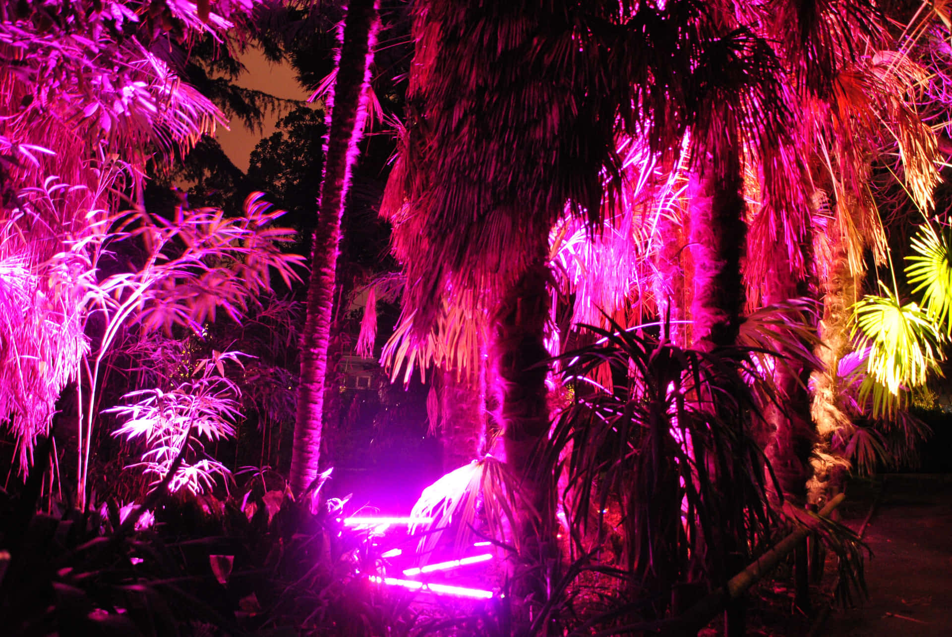 A Bright Colorful Fractal Background