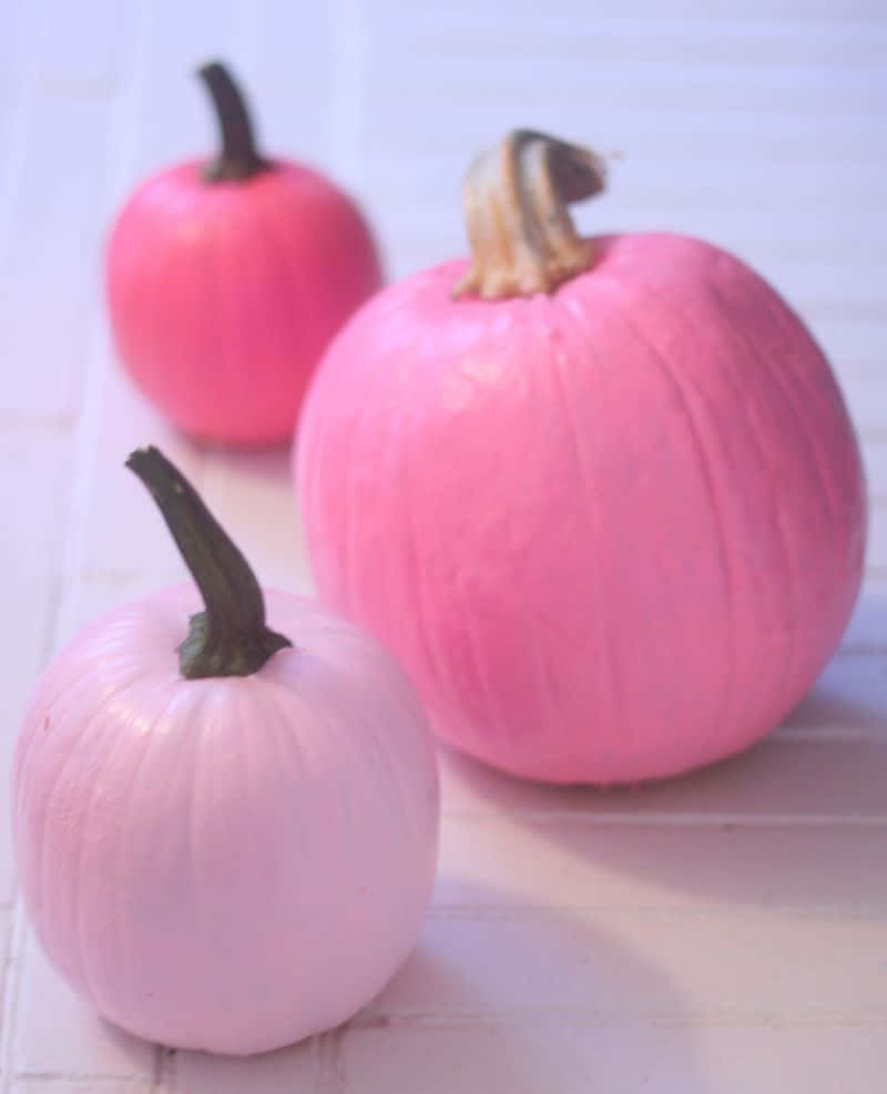 A Bright Pink Pumpkin Provides The Perfect Autumnal Decor Background