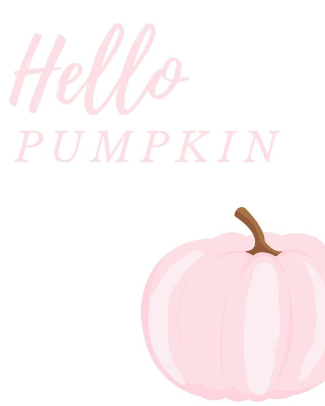 A Brightly-colored Pink Pumpkin Background