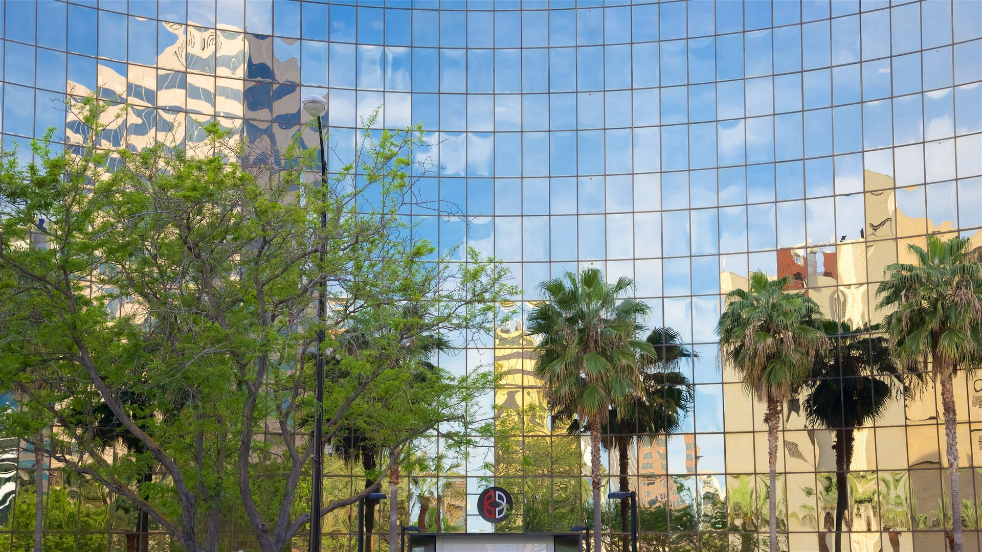 A Building With Palm Trees Reflected In The Glass Background