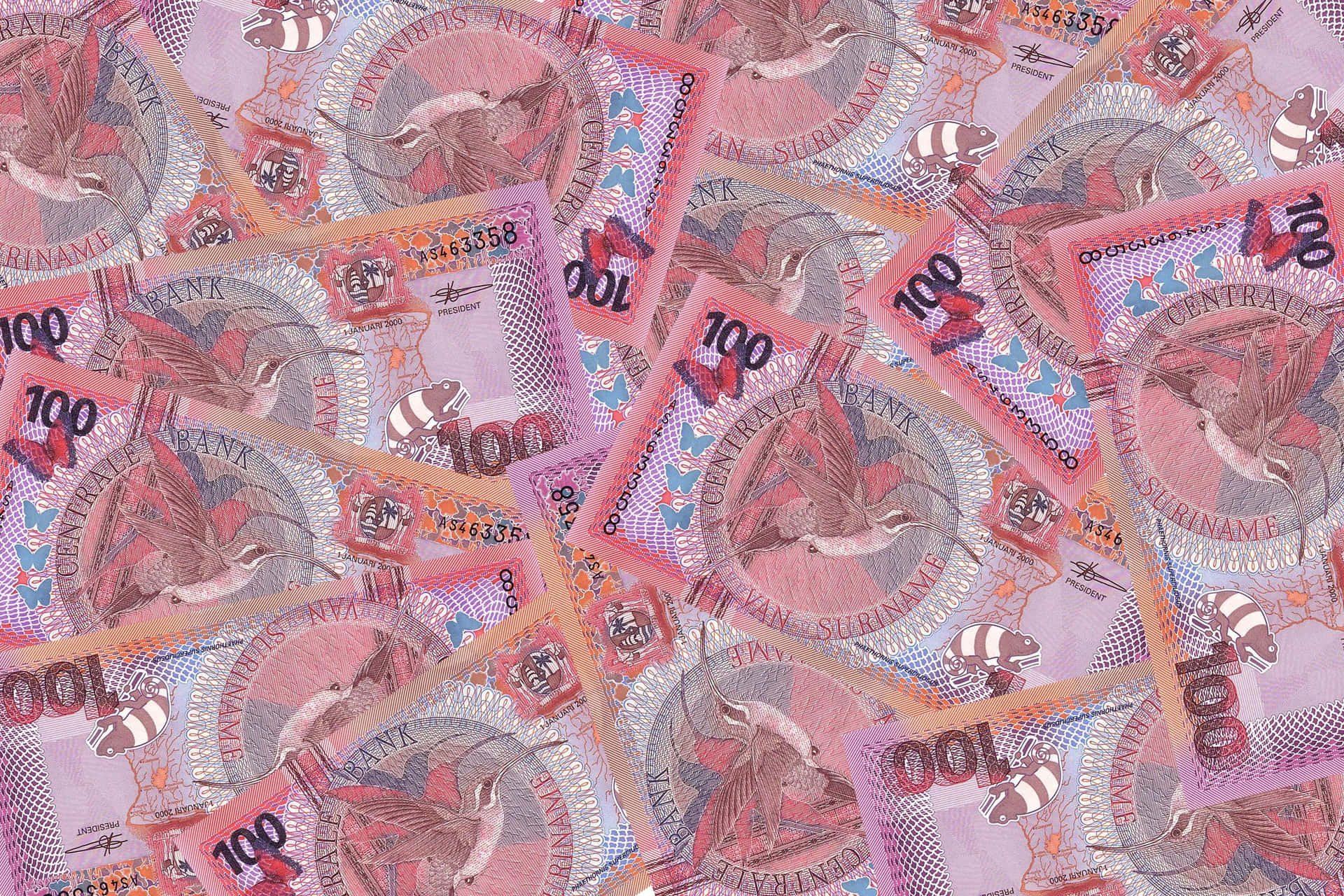 A Bunch Of Money In Pink And Purple Background