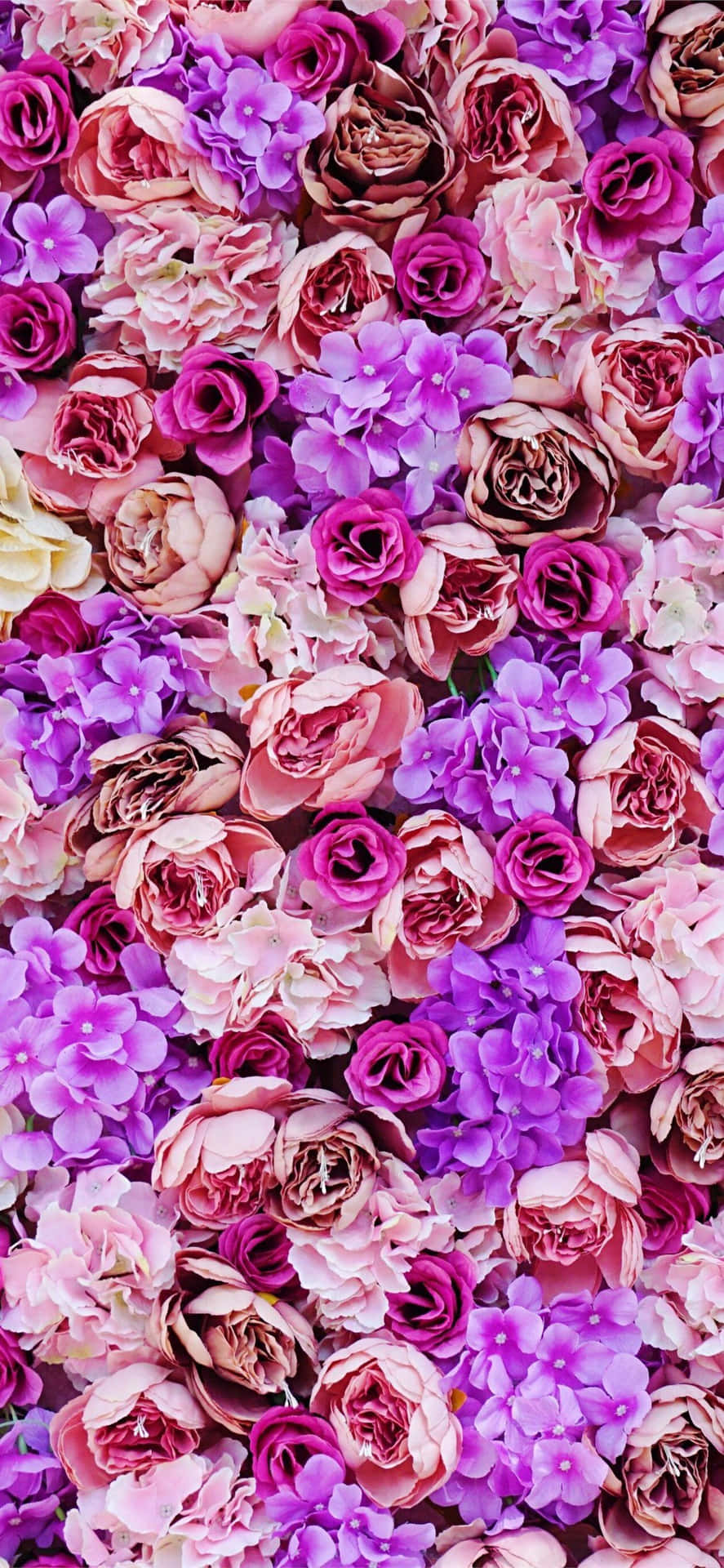 A Bunch Of Pink And Purple Flowers Background