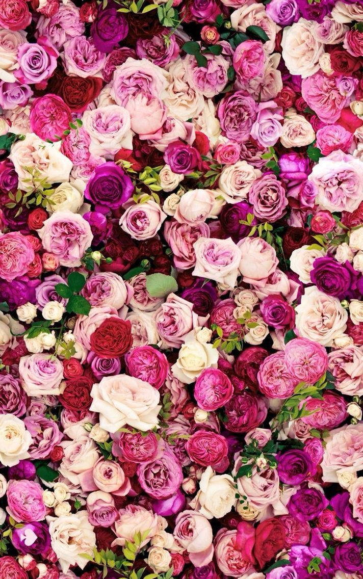 A Bunch Of Pink And Purple Roses Are Arranged In A Pattern