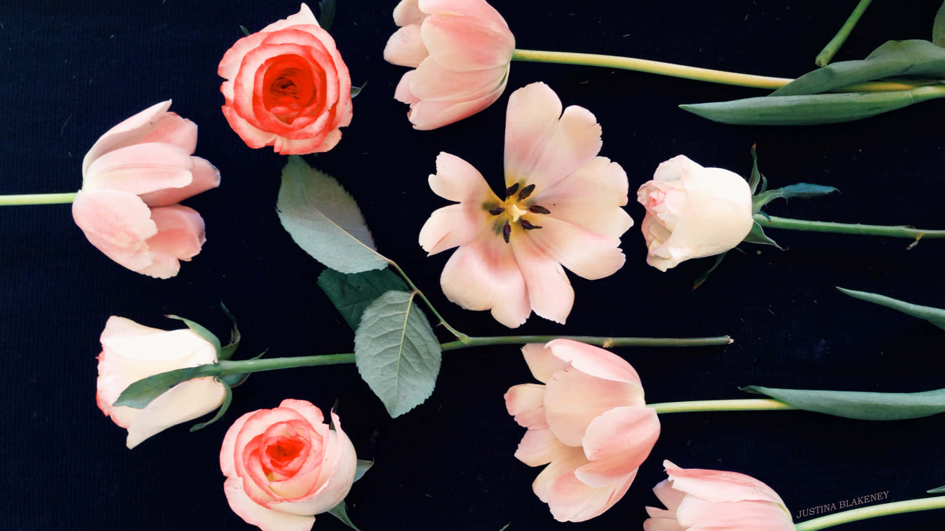 A Bunch Of Pink Flowers Are Arranged On A Black Surface Background