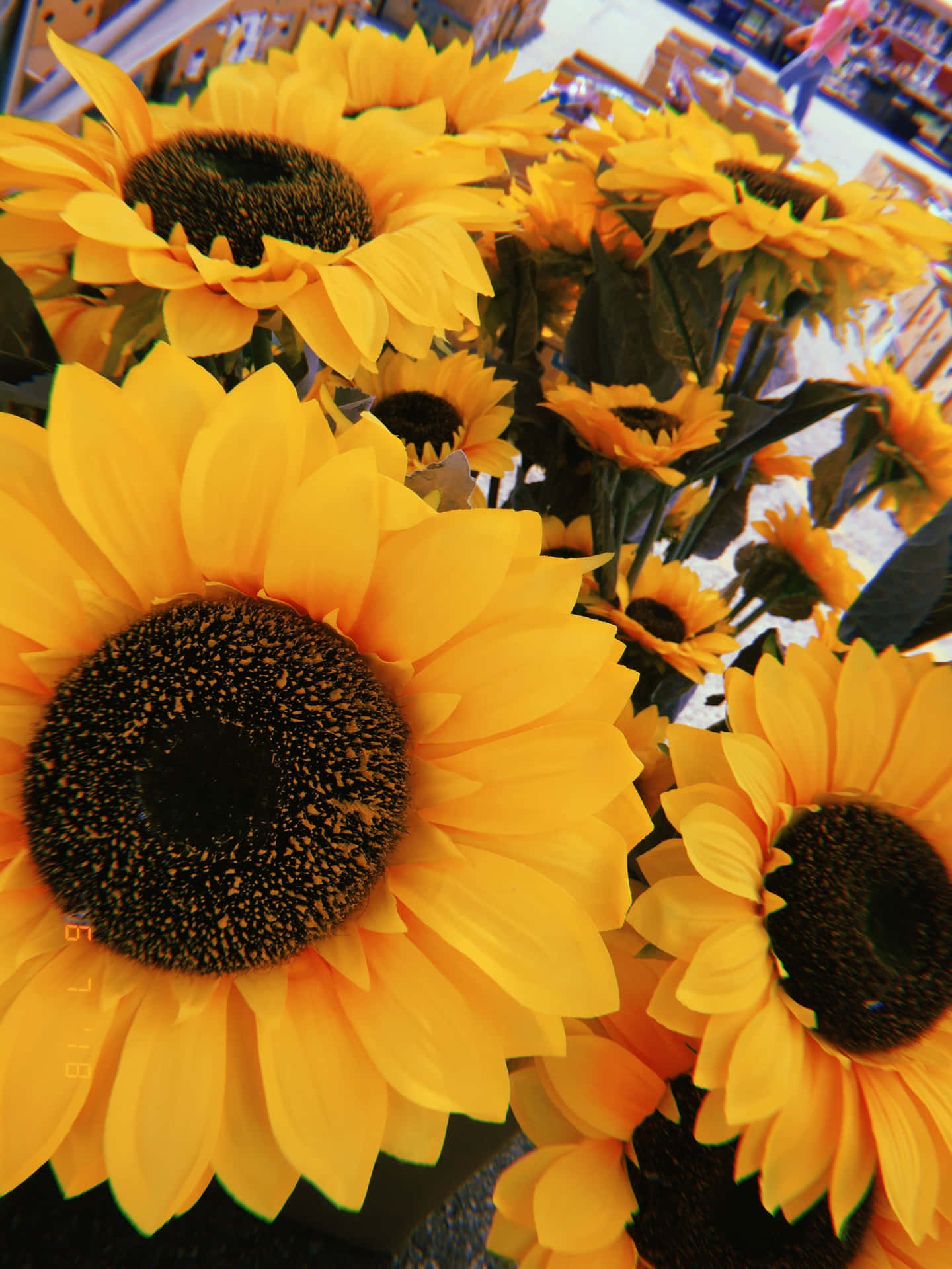 A Bunch Of Yellow Sunflowers