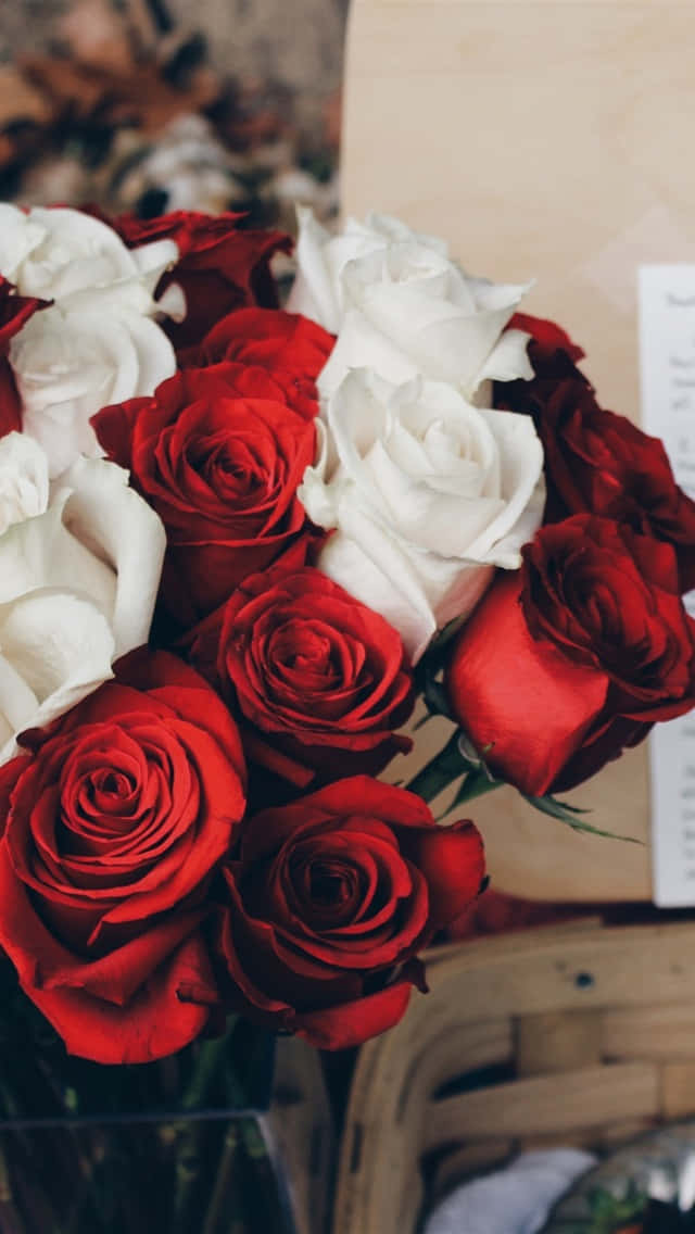 A Bundle Of Red And White Roses Background