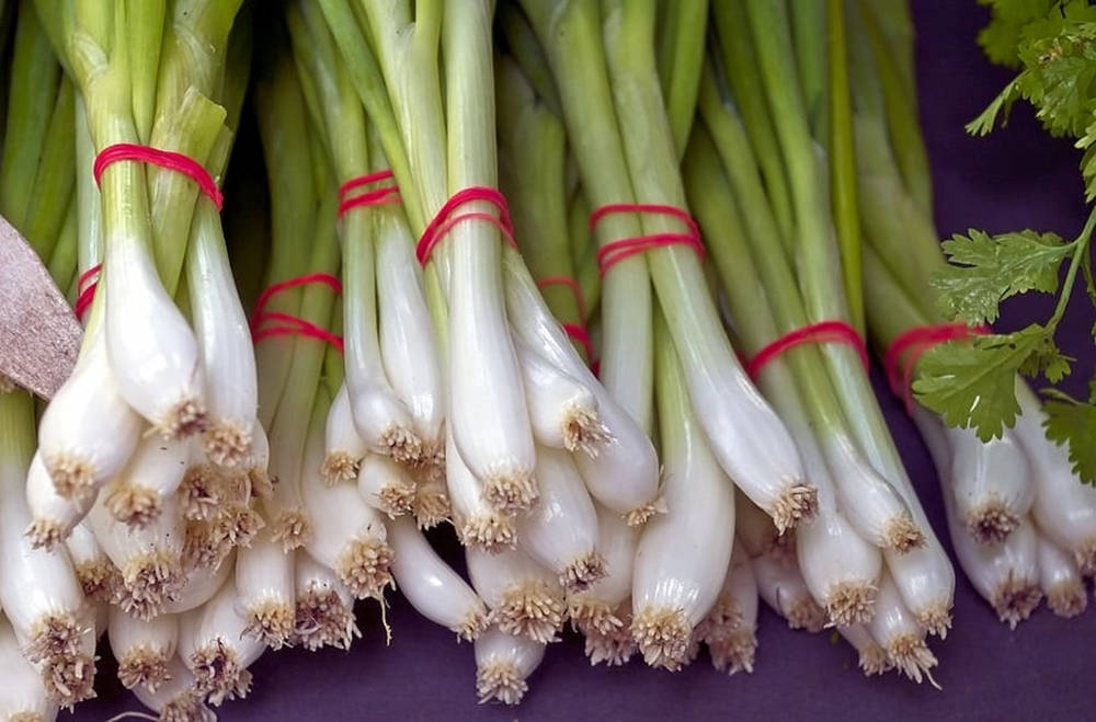 A Bundle Of Spring Onions Tied With Red Strings