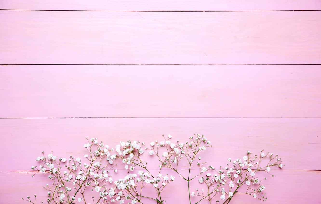 A Burst Of Pink Brings Life To Your Backyard! Background