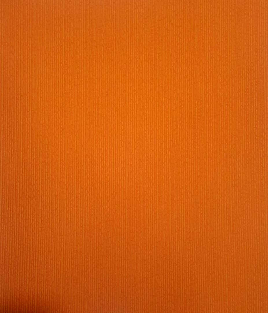 A Burst Of Vibrant Yet Calming Orange Against A Backdrop Of Blue Background