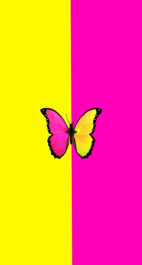 A Butterfly In Split Colors Background