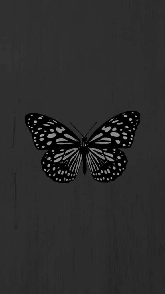 A Butterfly Is Shown On A Black Background Background